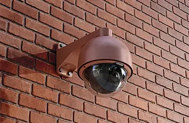 Customized Cameras
